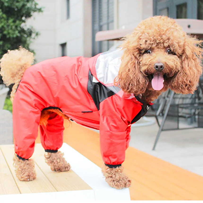 Clothes on rainy days pet poncho