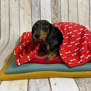 Doghouse Christmas Blankets for Dogs