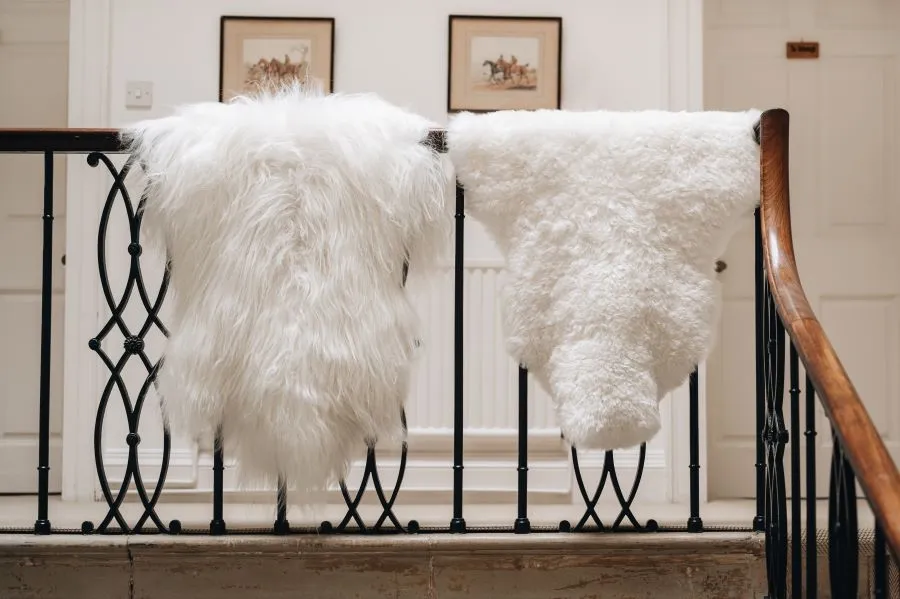 Icelandic Sheepskin Rug White (Long Wool)