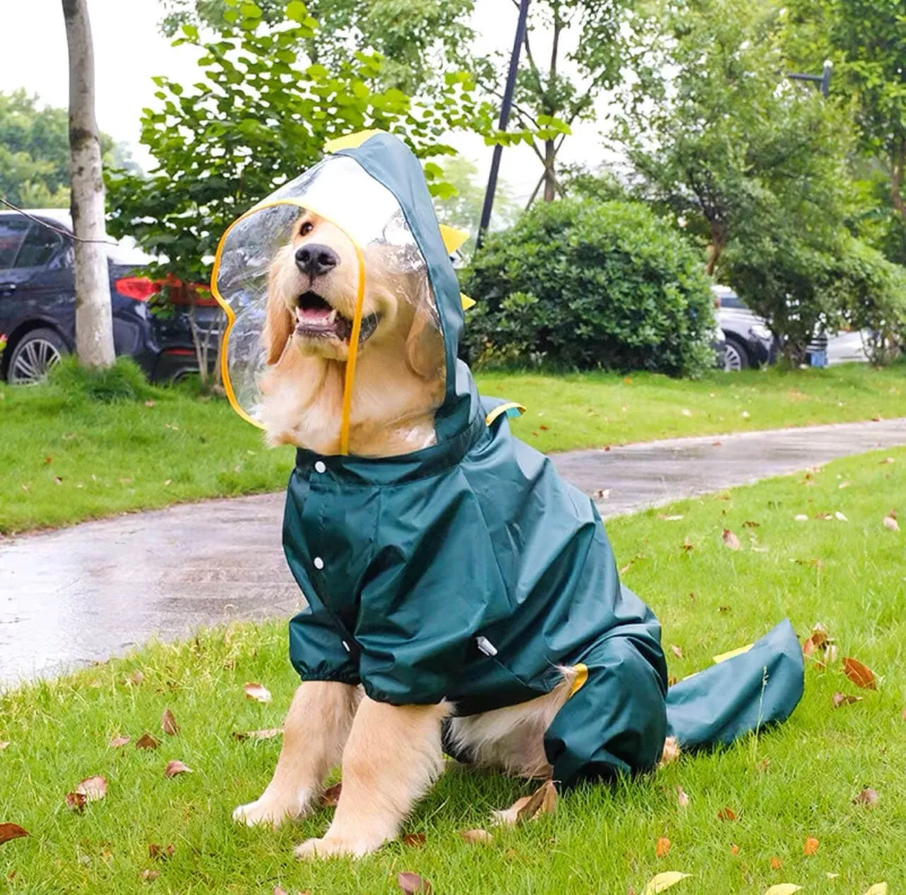 Large Dog Raincoat Dinosaur Style