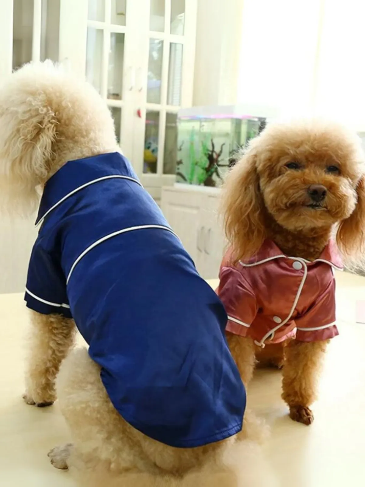 Luxury Soft Silky Dog Pajama