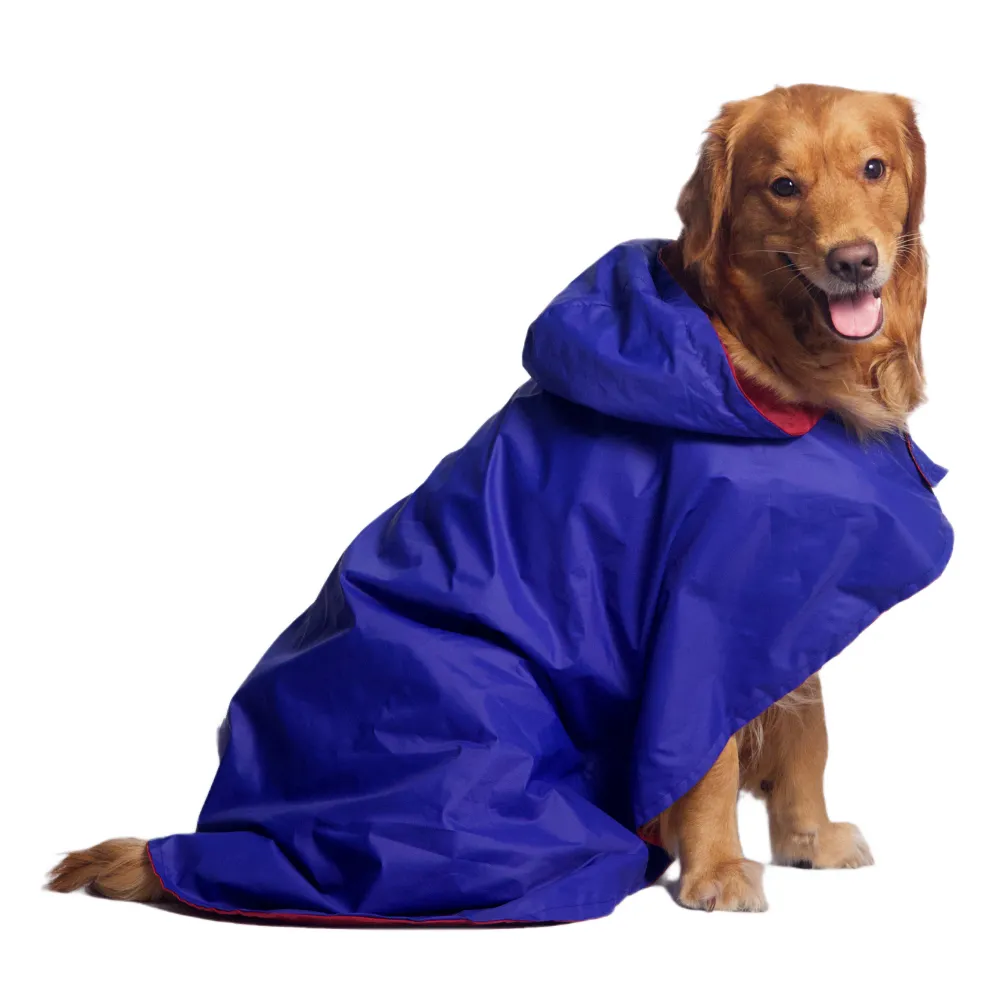 Pet Set Go Cape Style Raincoat for Dogs (Blue)