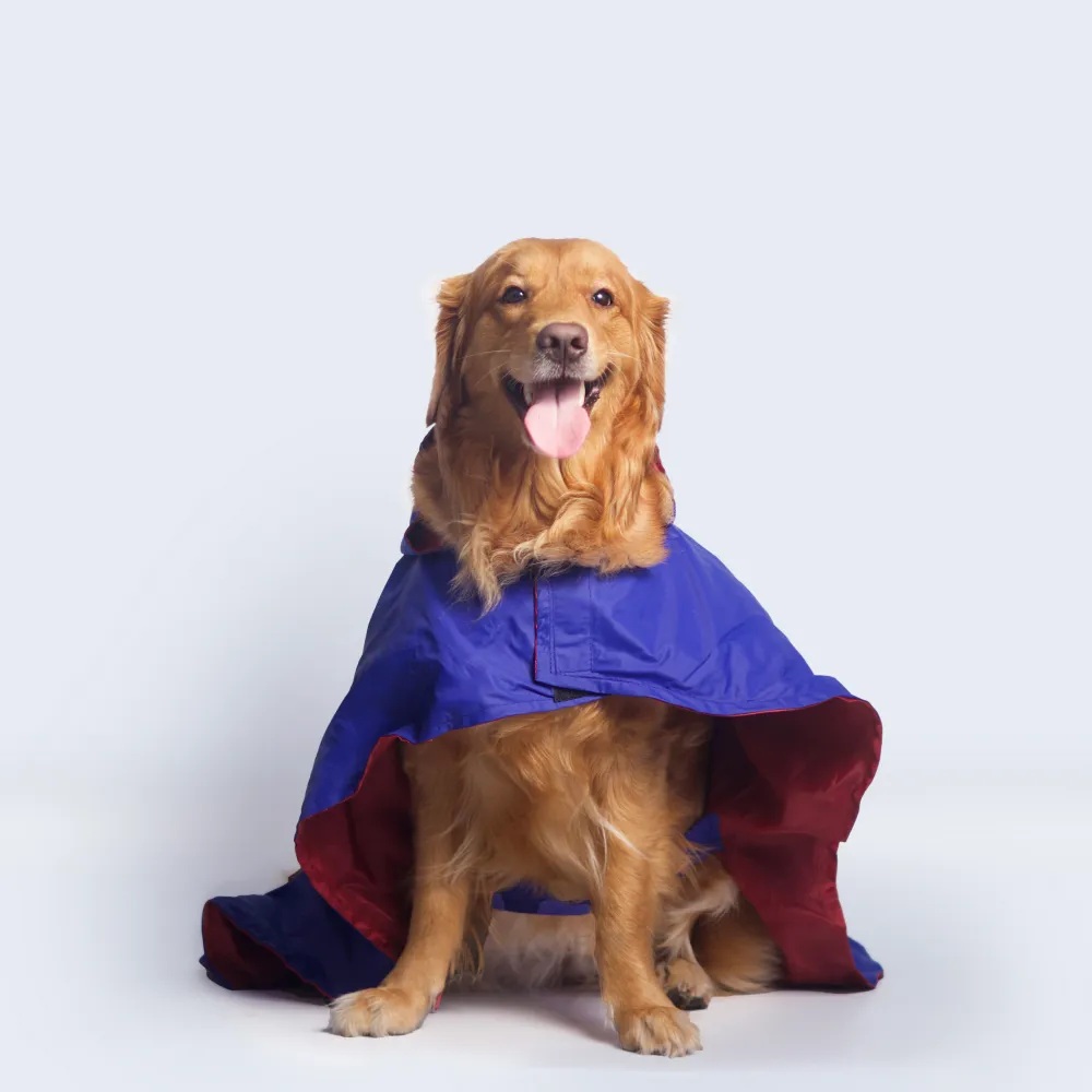 Pet Set Go Cape Style Raincoat for Dogs (Blue)