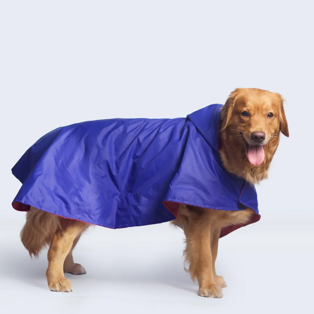 Pet Set Go Cape Style Raincoat for Dogs (Blue)