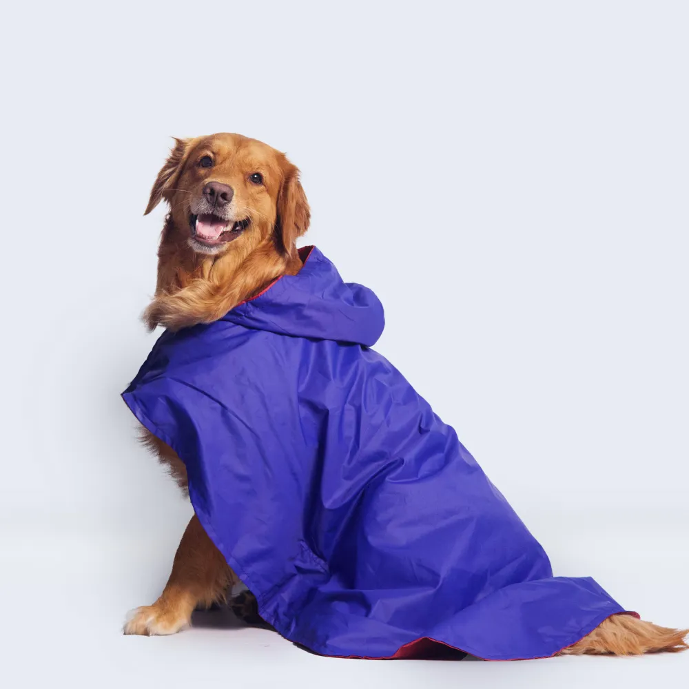 Pet Set Go Cape Style Raincoat for Dogs (Blue)